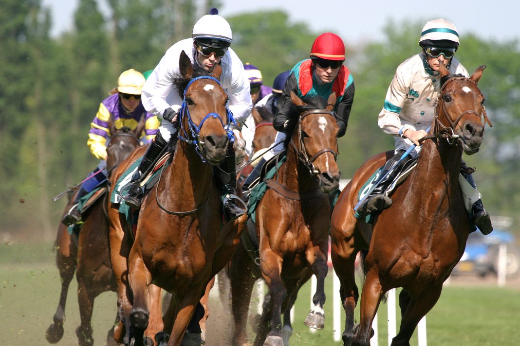 Bookies to Celebrate Queen’s Platinum Jubilee by Donating Profits from