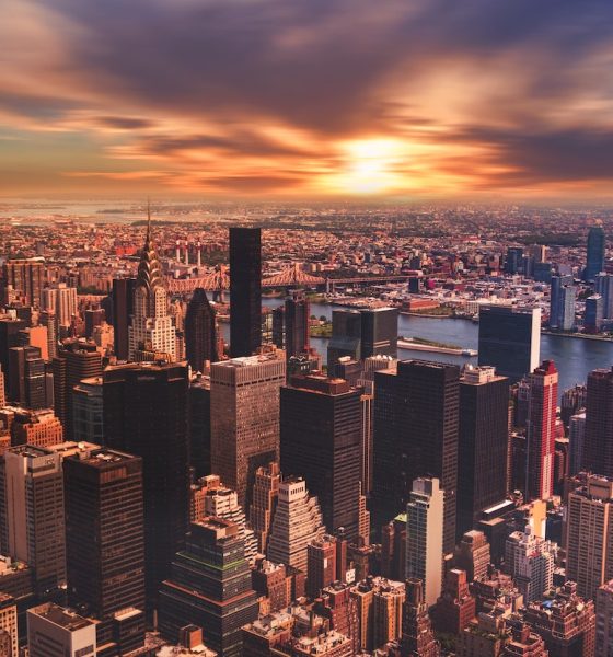 new-zealand-stopped-opening-land-based-venues-&-online-gambling-started-to-grow:-an-overview-of-the-last-10-years