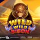 trigger-a-wild-gold-rush-in-wild-wild-bison