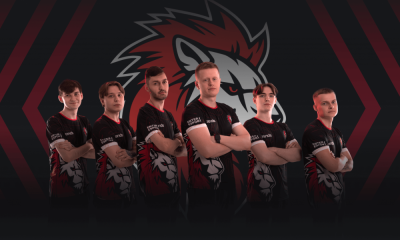 ukrainian-cyber-l&g-team-belonging-to-alona-shevtsova-launches-exclusive-merchandise-line