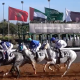 1/st-content-expands-its-reach-to-add-elite-moroccan-racing-to-burgeoning-international-portfolio