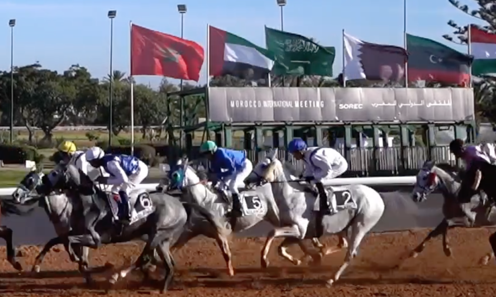 1/st-content-expands-its-reach-to-add-elite-moroccan-racing-to-burgeoning-international-portfolio