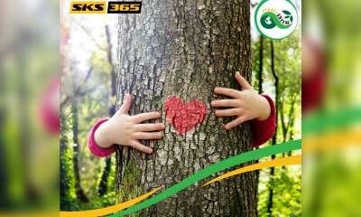 sks365-launches-planetgreen365-sustainability-program:-the-company-forest-was-born-to-celebrate-the-new-green-project