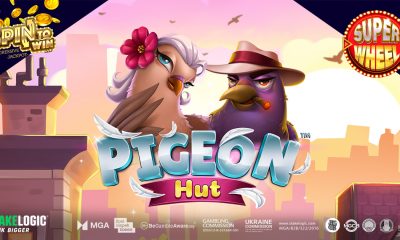 ruffle-some-feathers-in-the-big-city-with-pigeon-hut