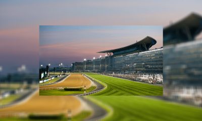 live-horse-racing-data-giants-agree-landmark-merger