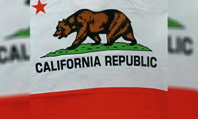 sweeping-regulatory-changes-in-the-gambling-sector-set-to-impact-multiple-establishments