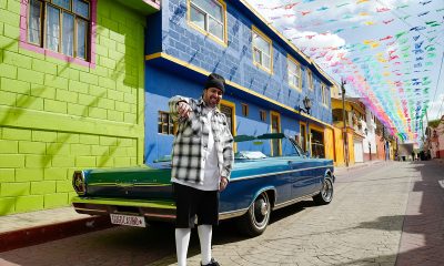 dogge-doggelito-becomes-the-new-brand-ambassador-of-gogocasino