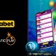pragmatic-play-and-ecuabet-seal-bingo-partnership-extension