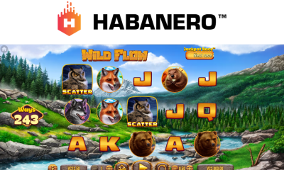 habanero-invites-players-to-brave-the-elements-in-wild-flow