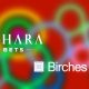 saharabets-partners-with-birches-health-to-increase-accessibility-to-responsible-gaming-resources-and-problem-gambling-treatment