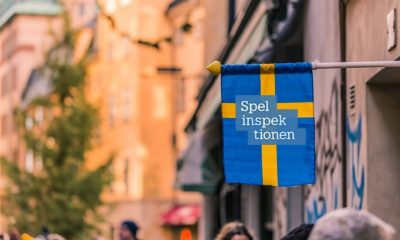 swedish-regulator-issues-sek300,000-fine-to-yggdrasil-for-supplying-its-online-gaming-software-to-unlicensed-operator