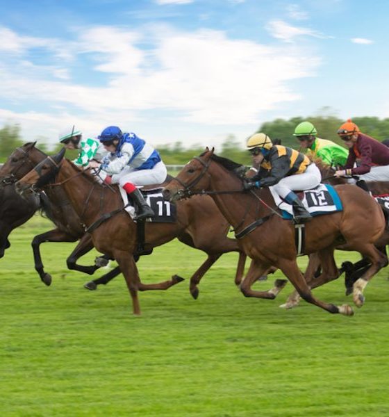 kt-group-is-the-betting-terminal-of-choice-for-the-kentucky-derby-and-wrigley-field-this-season