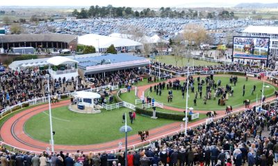 cheltenham-and-grand-national-2025-start-now