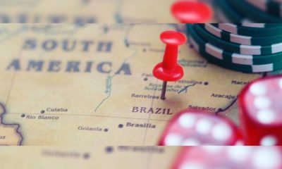 ecogra-authorized-to-offer-certification-services-in-brazil