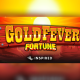 gold-fever-fortune-set-to-strike-gold-in-the-uk-b3/lbo-market