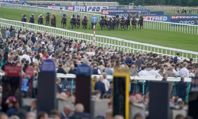 bgc-members-make-record-horserace-betting-levy-contribution