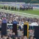 bgc-members-make-record-horserace-betting-levy-contribution