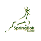 springbok-casino-as-the-fastest-payout-casino-for-2024