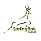springbok-casino-as-the-fastest-payout-casino-for-2024