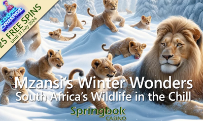 springbok-casino-showcases-winter-survival-strategies-of-south-africa’s-wildlife-in-‘mzansi’s-winter-wonders’-feature