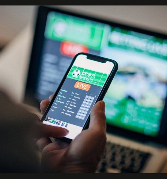 vermont-department-of-mental-health-launches-problem-gambling-support-site