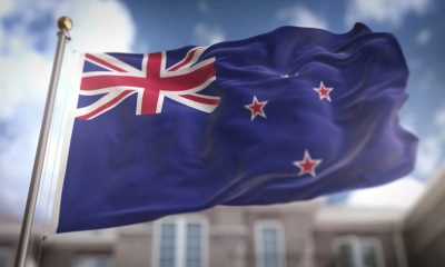tab-nz-interim-chair-announces-resignation