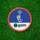 scouts-launch-badge-partnership-with-ygam