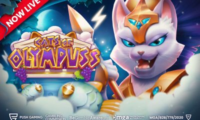 push-gaming-unleashes-divine-felines-in-cats-of-olympuss