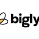 introducing-bigly,-the-game-changing-studio