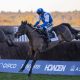 copybet-joins-forces-with-ascot-racecourse-to-deliver-the-copybet-november-racing-weekend