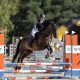 synot-group-and-synot-foundation-support-equestrian-sport