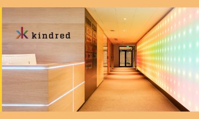 kindred’s-journey-towards-zero:-an-increase-in-q3-revenue-from-high-risk-players