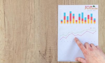 bingo-paradise-reports-record-growth-in-q3-2024-with-unprecedented-ftd-increase