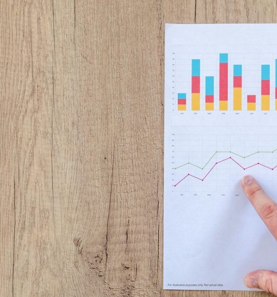 bingo-paradise-reports-record-growth-in-q3-2024-with-unprecedented-ftd-increase