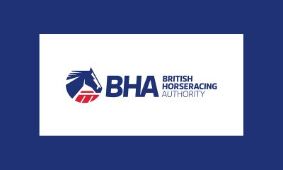 update-regarding-recruitment-of-the-bha-chief-executive