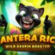 tom-horn-gaming-unleashes-pantera-rica-in-a-thrilling-rainforest-adventure