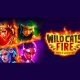 kendoo-releases-“wild-cats-fire:-hold-and-win”