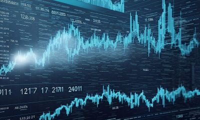 cryptocurrency-expert-jamie-bungaree-warns-about-dangers-of-meme-coins