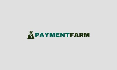 paymentfarm-rolls-out-innovative-ai-anti-fraud-system-and-global-card-processing-solutions-for-psps,-igaming-and-high-risk-markets