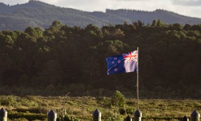 comprehensive-guide-to-online-casino-payment-methods-for-nz-players