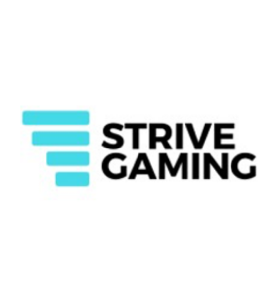 experienced-provider,-strive-to-provide-its-award-winning-player-account-management-system-and-apps-to-delta-bingo-&-gaming-online