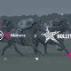 betmakers-signs-new-deal-with-hollywoodbets-in-south-africa