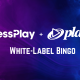 progressplay-and-playtech-join-forces-to-redefine-the-future-of-online-bingo-and-immediately-power-bingo-to-over-120-uk-gambling-sites