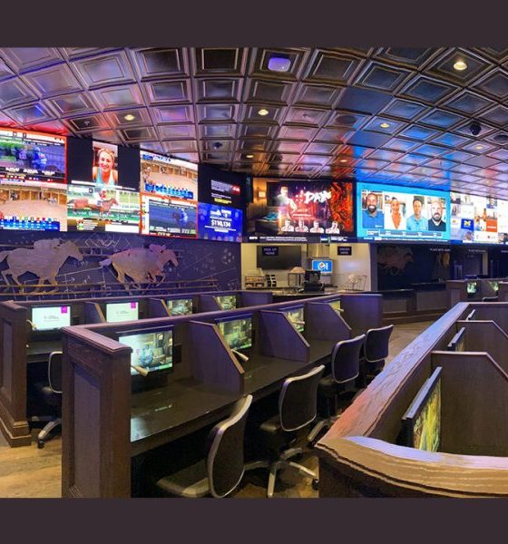 station-casinos-to-launch-its-first-stn-sportsbook-at-treasure-island-las-vegas-on-the-strip