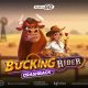 hold-tight-in-bucking-rider-–-play’n-go’s-next-crashback-game