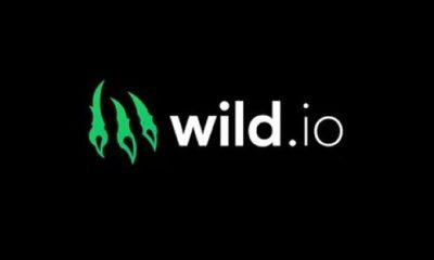 best-bitcoin-casinos-canada:-wild.io-picked-as-the-top-crypto-casino-in-canada