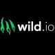 best-bitcoin-casinos-canada:-wild.io-picked-as-the-top-crypto-casino-in-canada