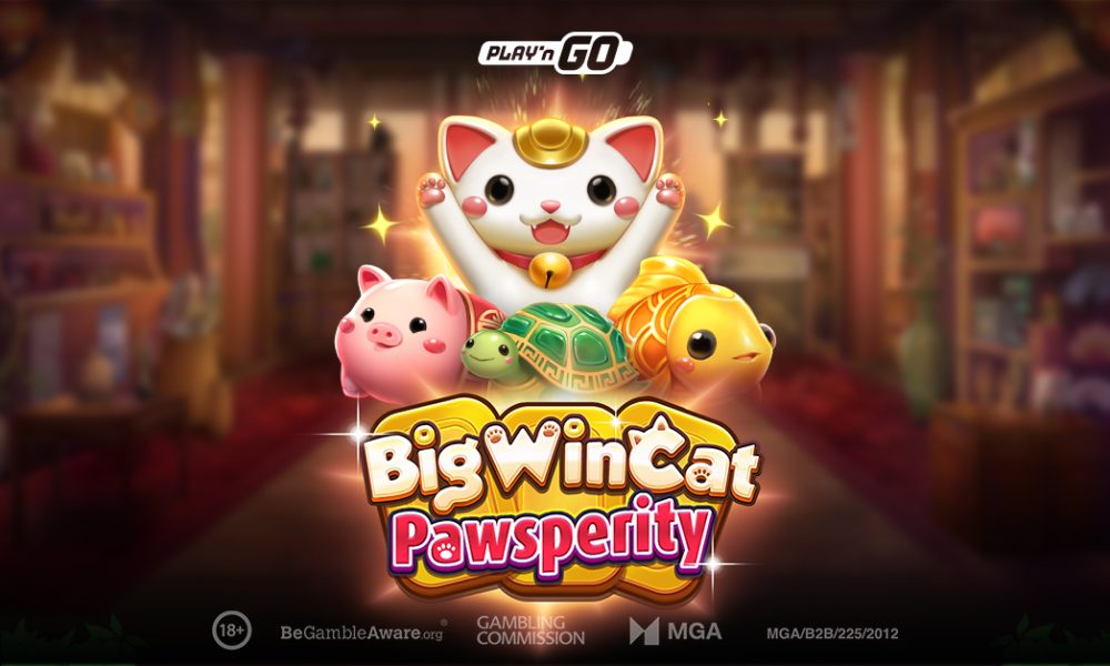 the-big-win-cat-returns-with-larger-than-life-fortune
