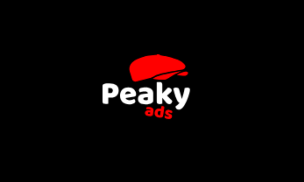 ceo-of-media24-interviewed:-industry-scams,-business-insights-and-seo