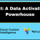 qci-announces-acquisition-of-vizexplorer,-establishes-itself-as-a-data-activation-powerhouse-and-fuels-growth-with-expanded-product-suite